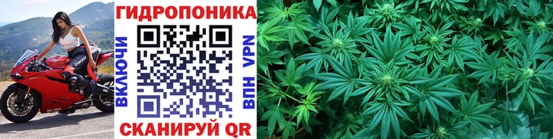 Каннабис тримм Грайворон